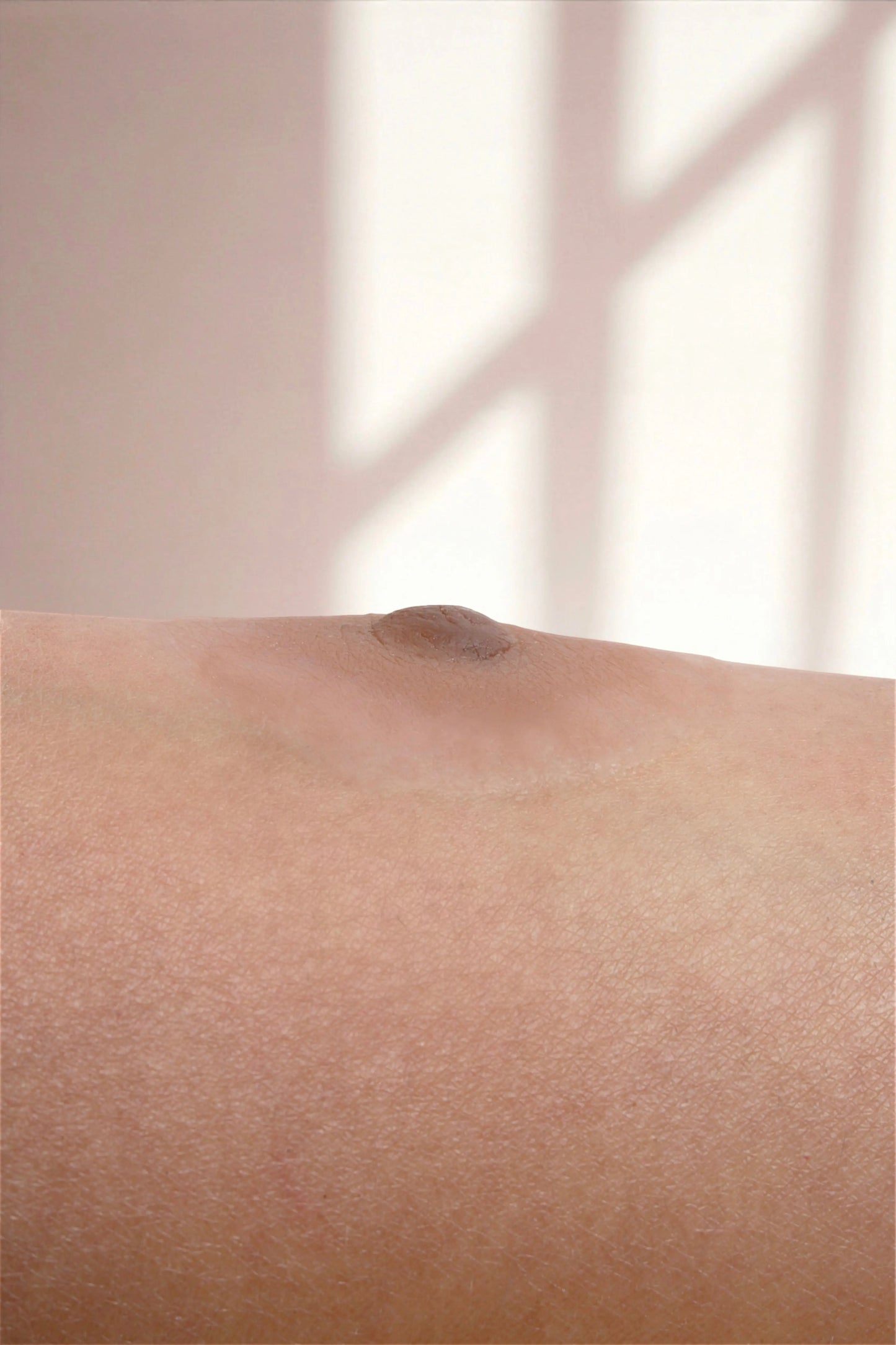 Silikon Meme Ucu -Hera Mütevazi Stil - Badem - LAST TOUCH NIPPLES