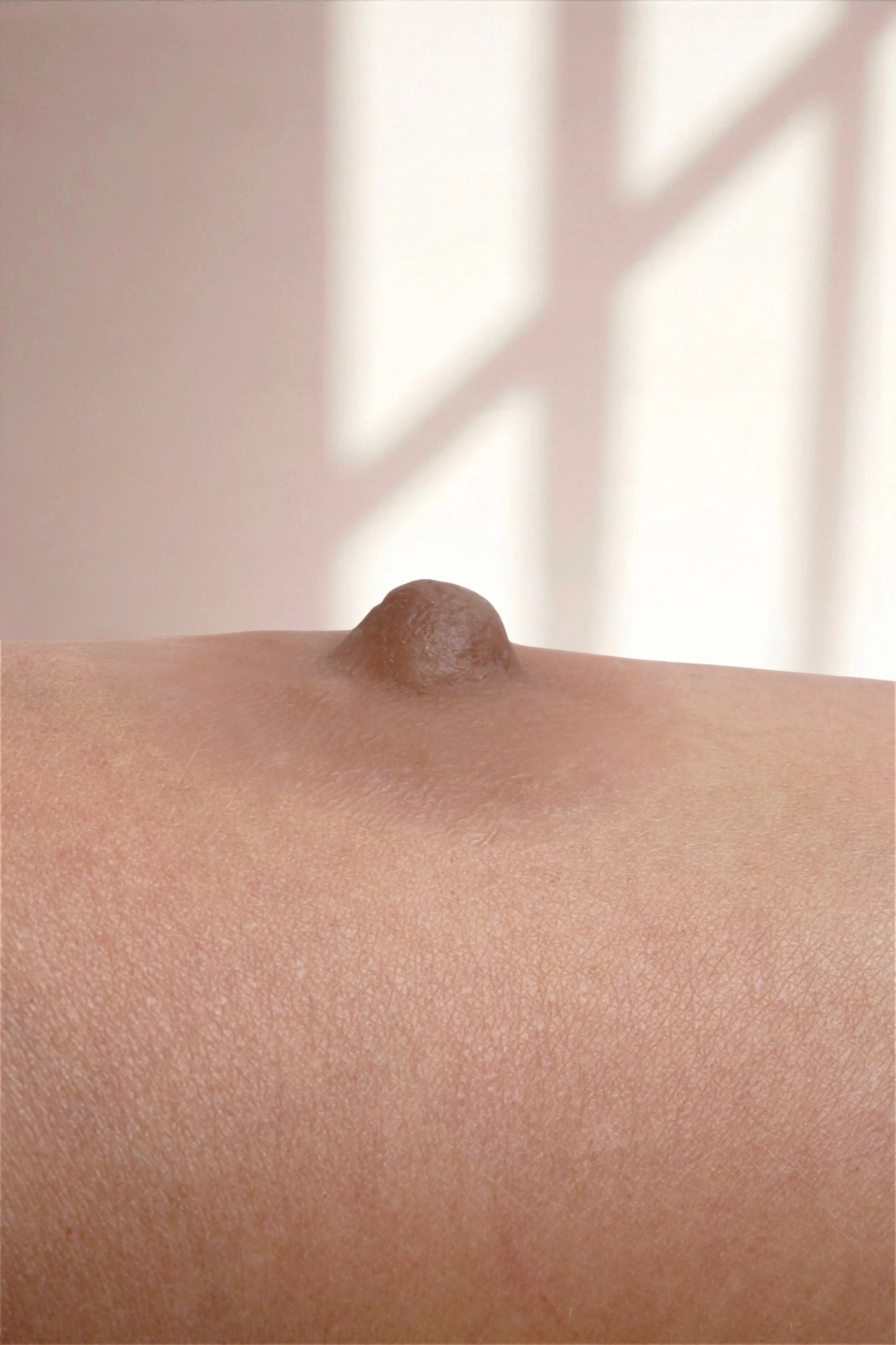 Silikon Meme Ucu -Hera Mütevazi Stil - Badem - LAST TOUCH NIPPLES