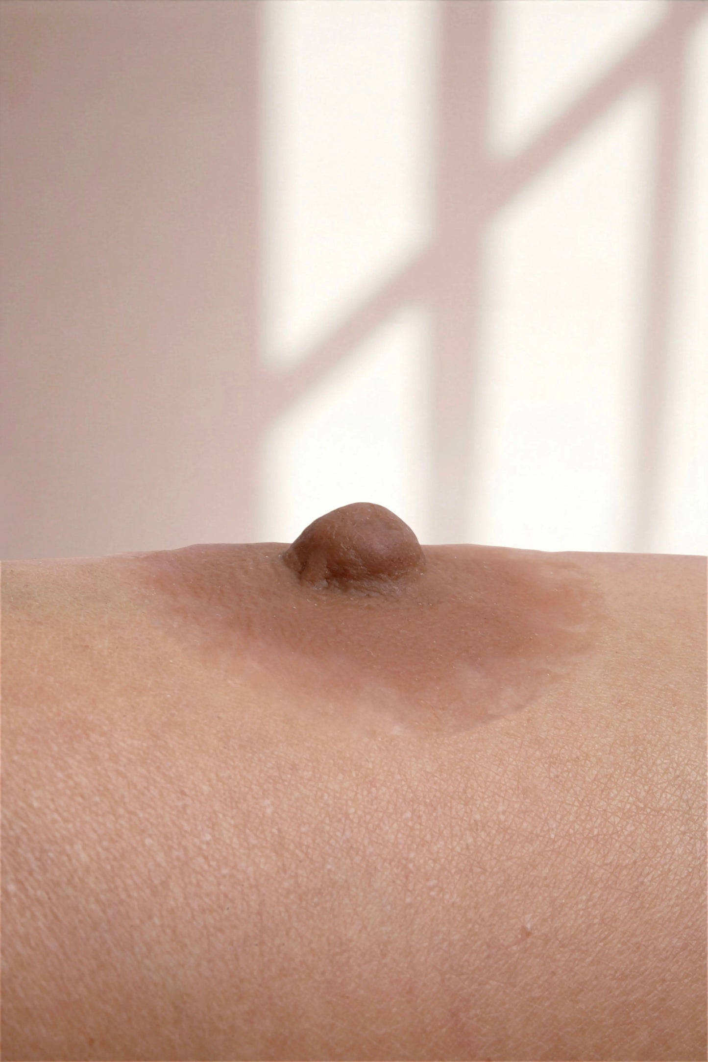 Silikon Meme Ucu -Hera Mütevazi Stil - Çikolata - LAST TOUCH NIPPLES