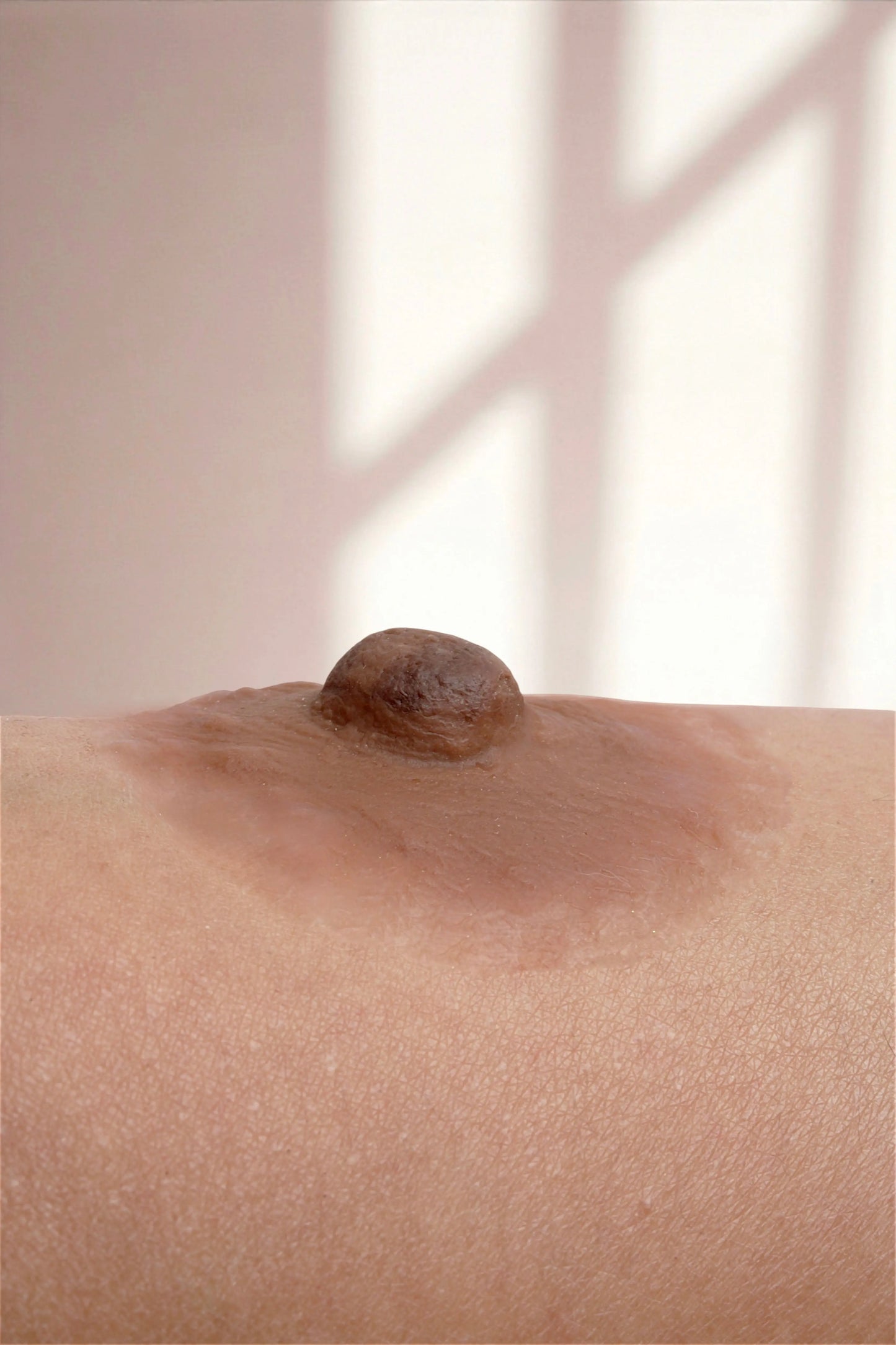 Silikon Meme Ucu -İsis Denge Stil - Çikolata - LAST TOUCH NIPPLES