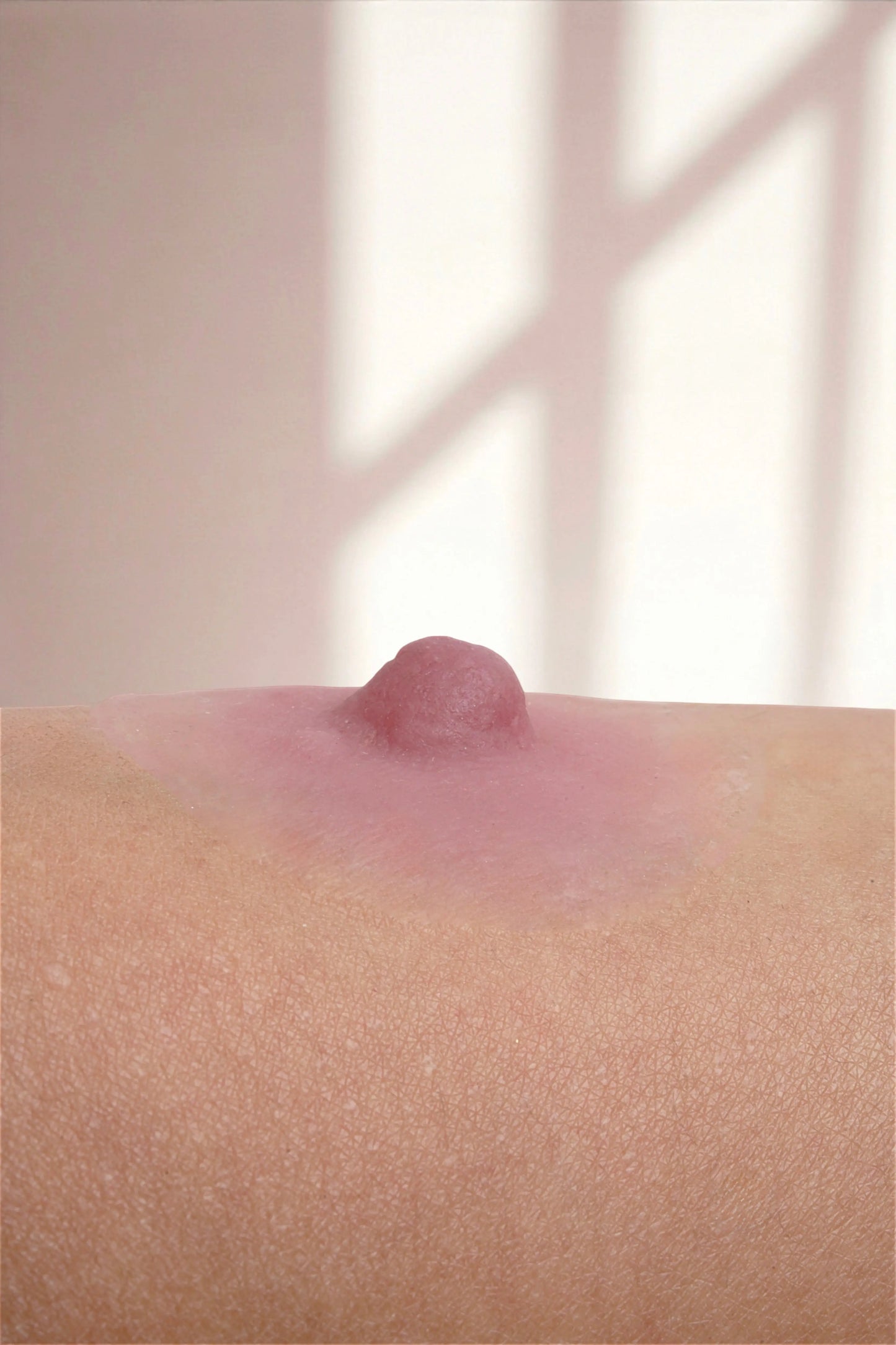 Silikon Meme Ucu -Athena Cesur Stil - Pembe - LAST TOUCH NIPPLES