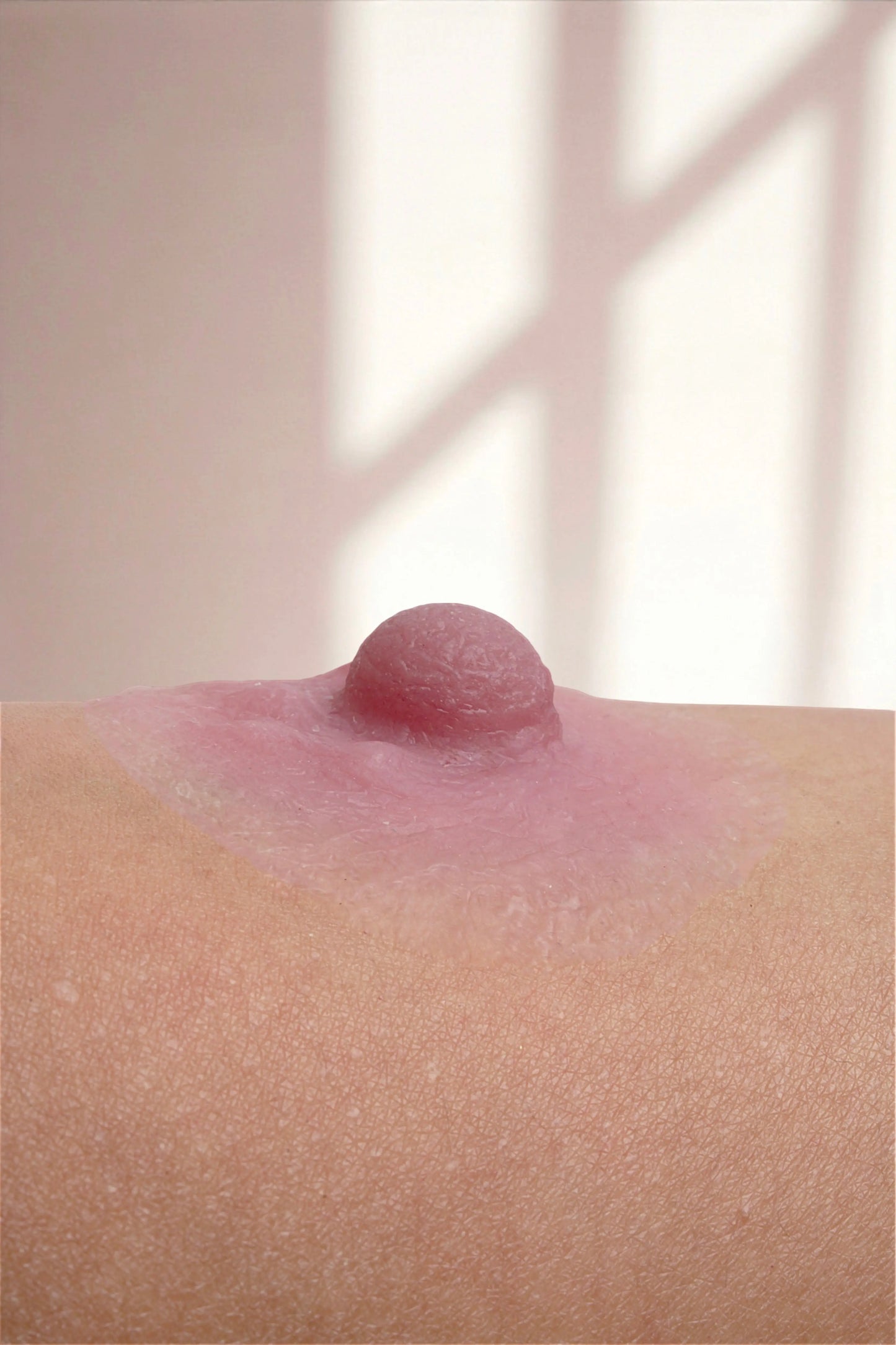 Silikon Meme Ucu -Smyrna Olgun Stil - Pembe - LAST TOUCH NIPPLES