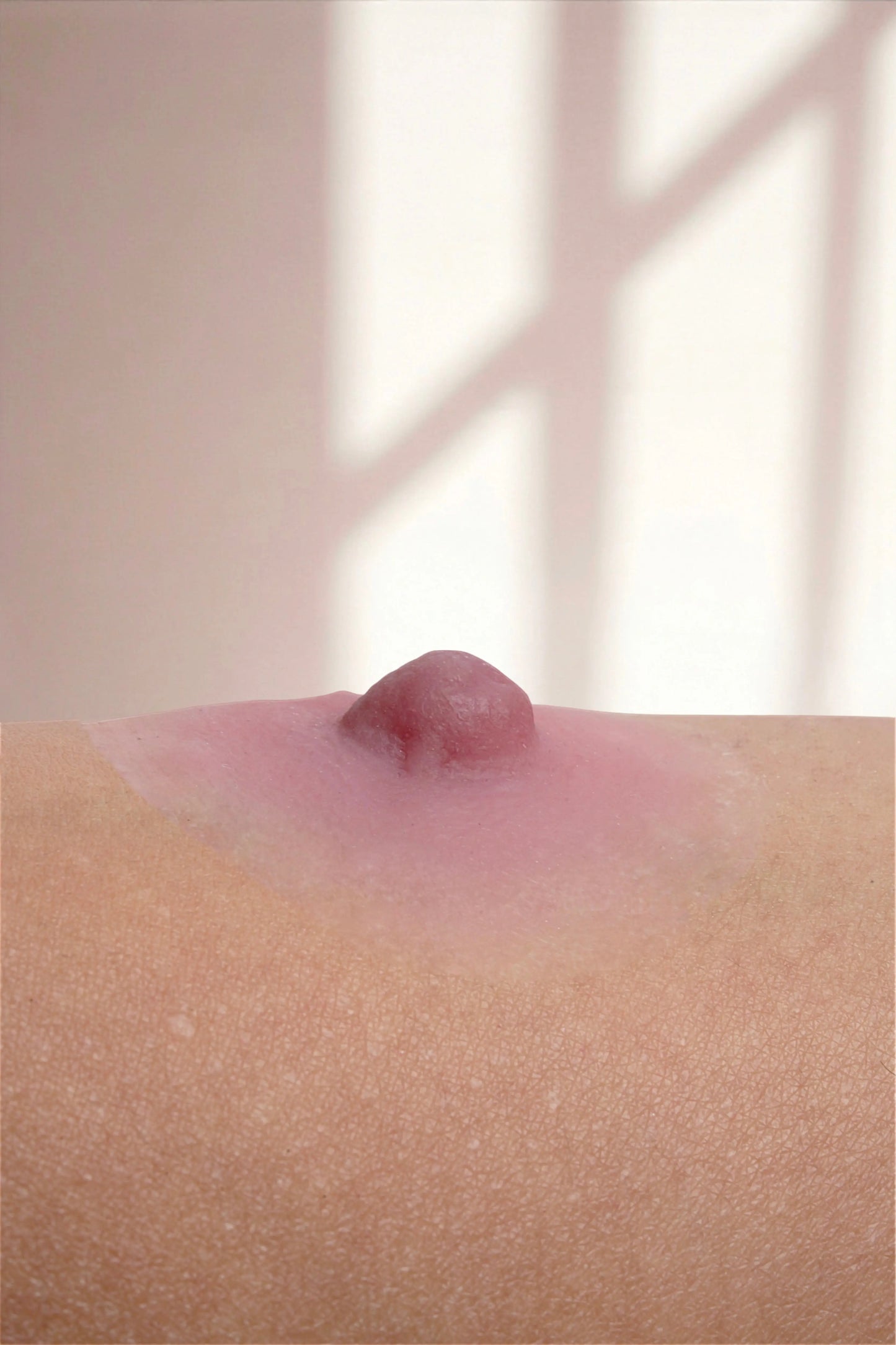 Silikon Meme Ucu -Hera Mütevazi Stil - Mercan - LAST TOUCH NIPPLES