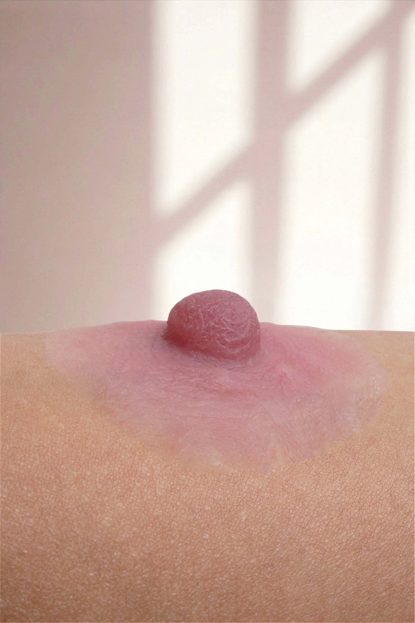 Silikon Meme Ucu -Smyrna Olgun Stil - Pembe - LAST TOUCH NIPPLES
