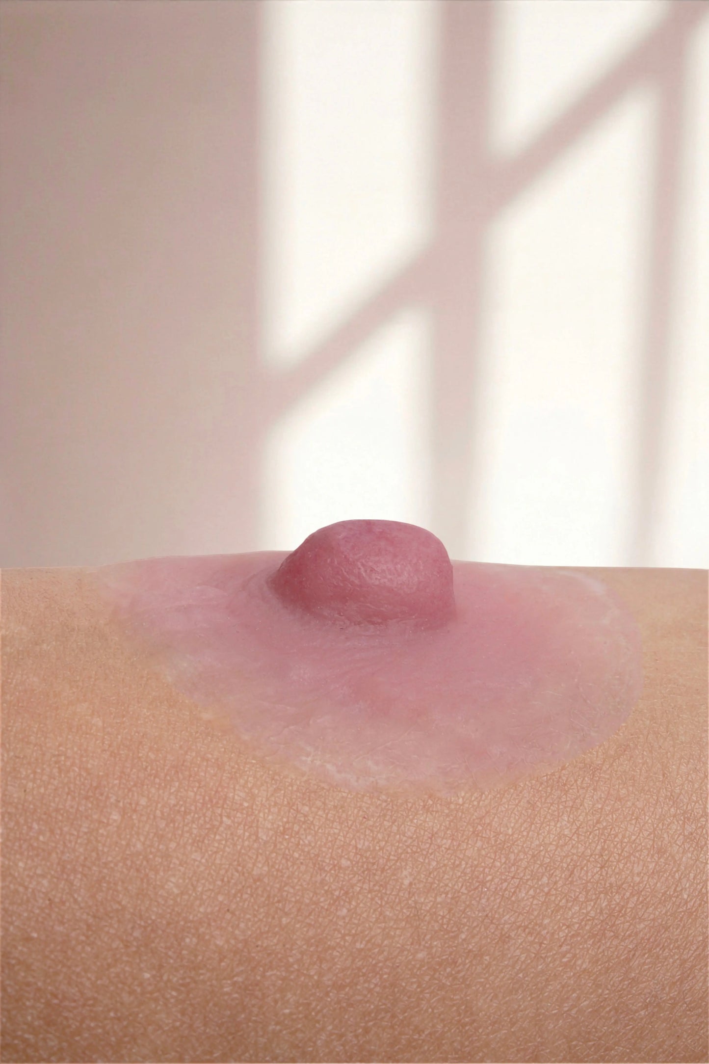 Silikon Meme Ucu -Diana Doğal Stil - Pembe - LAST TOUCH NIPPLES