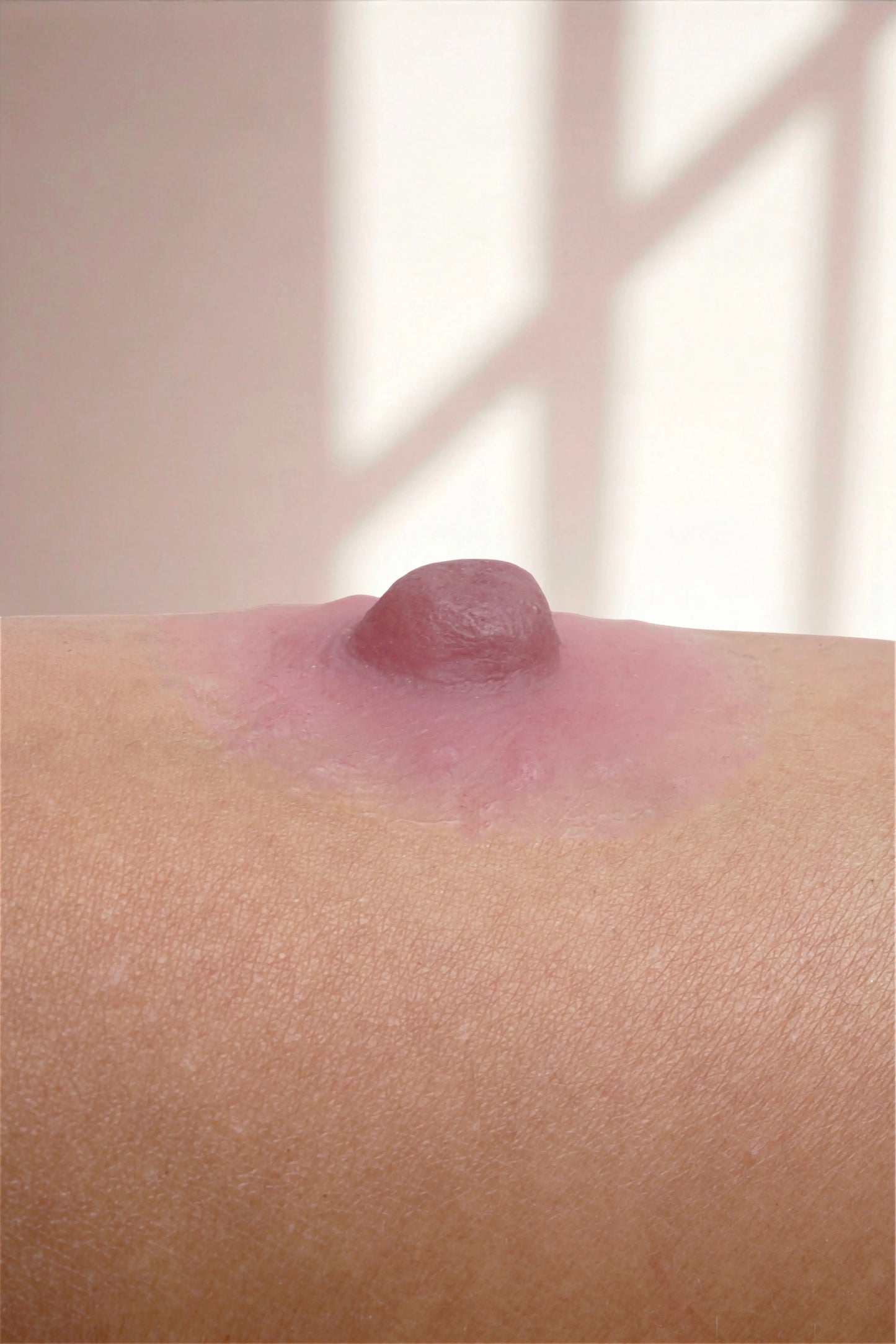 Silikon Meme Ucu -Diana Doğal Stil - Mercan - LAST TOUCH NIPPLES