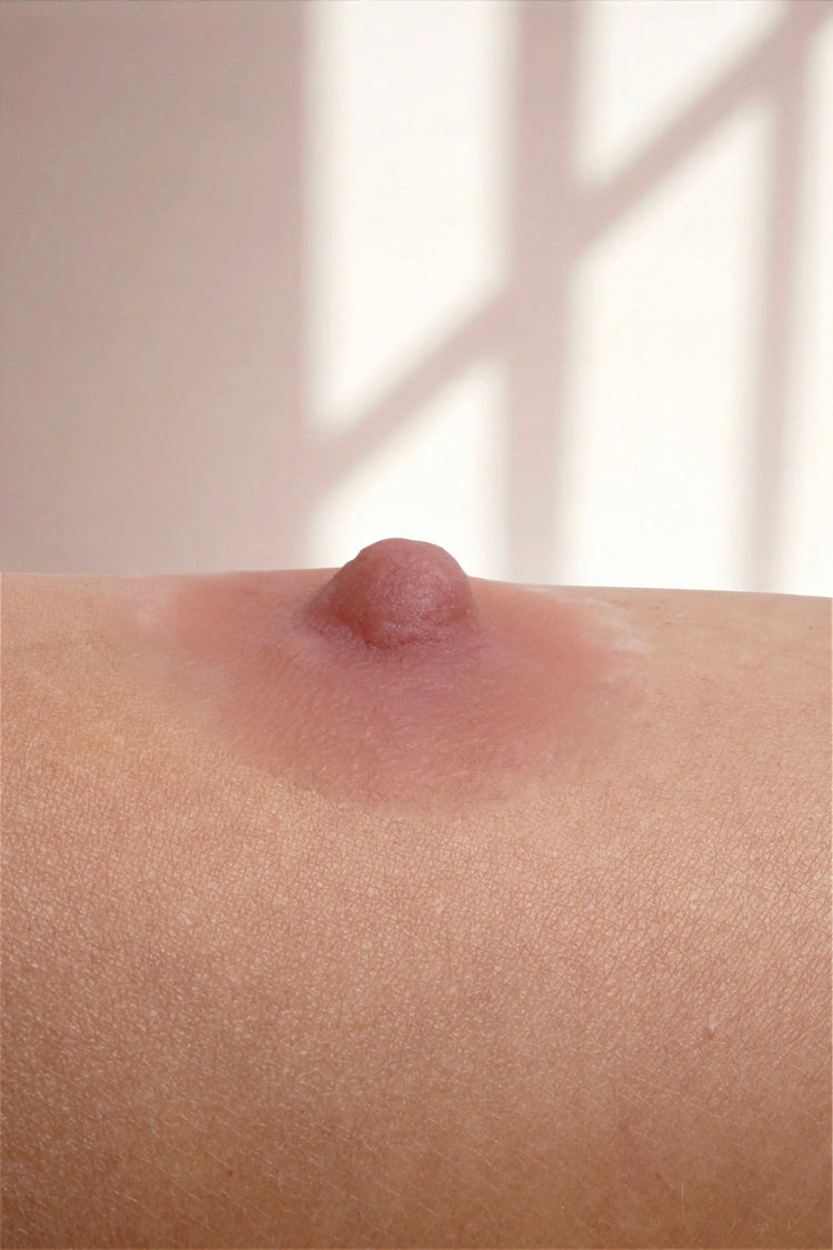 Silikon Meme Ucu -Hera Mütevazi Stil - Tarçın - LAST TOUCH NIPPLES