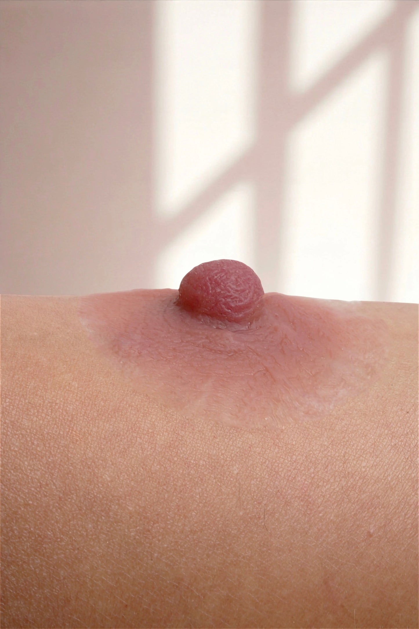 Silikon Meme Ucu -Smyrna Olgun Stil - Tarçın - LAST TOUCH NIPPLES