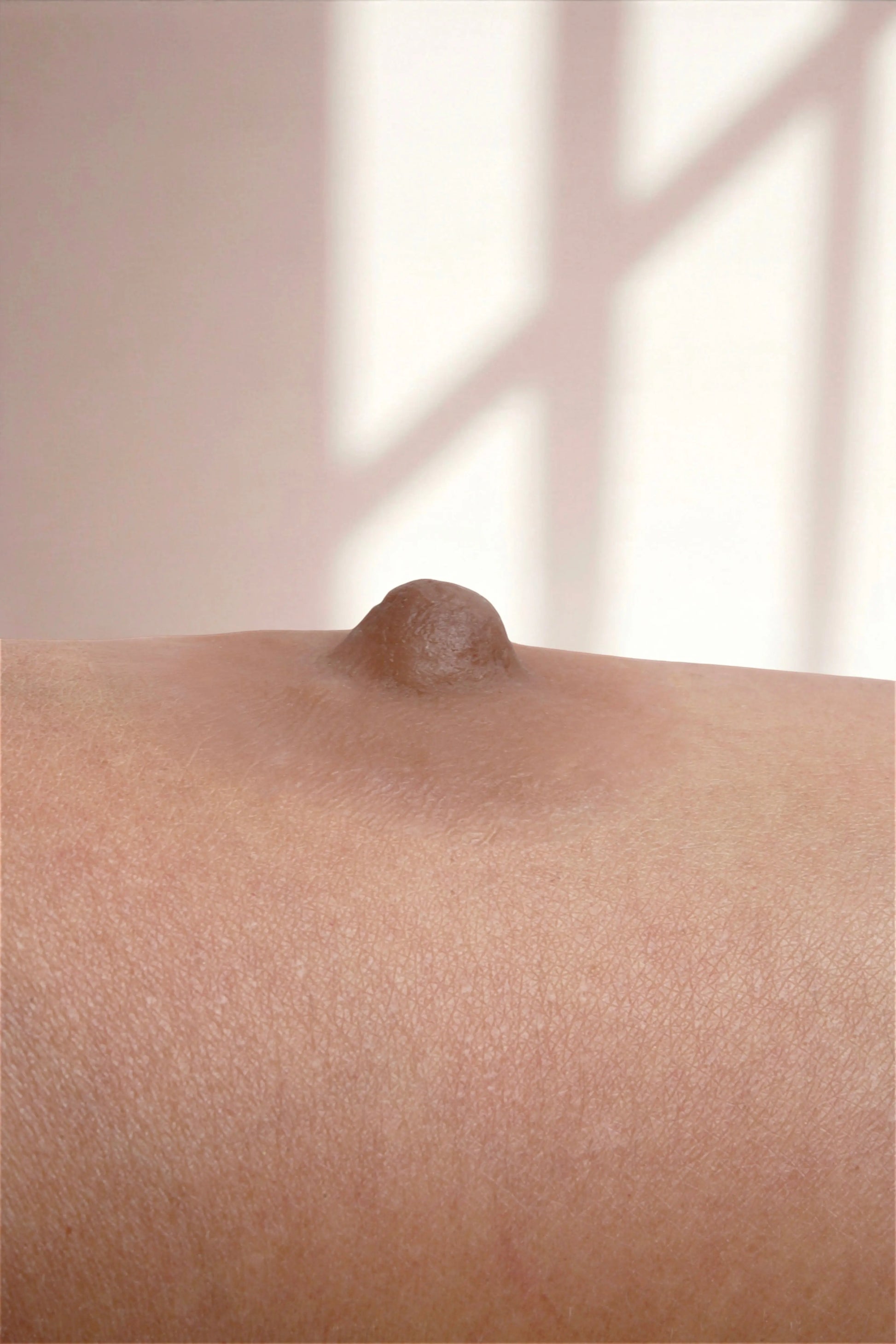 Silikon Meme Ucu -Hera Mütevazi Stil - Badem - LAST TOUCH NIPPLES