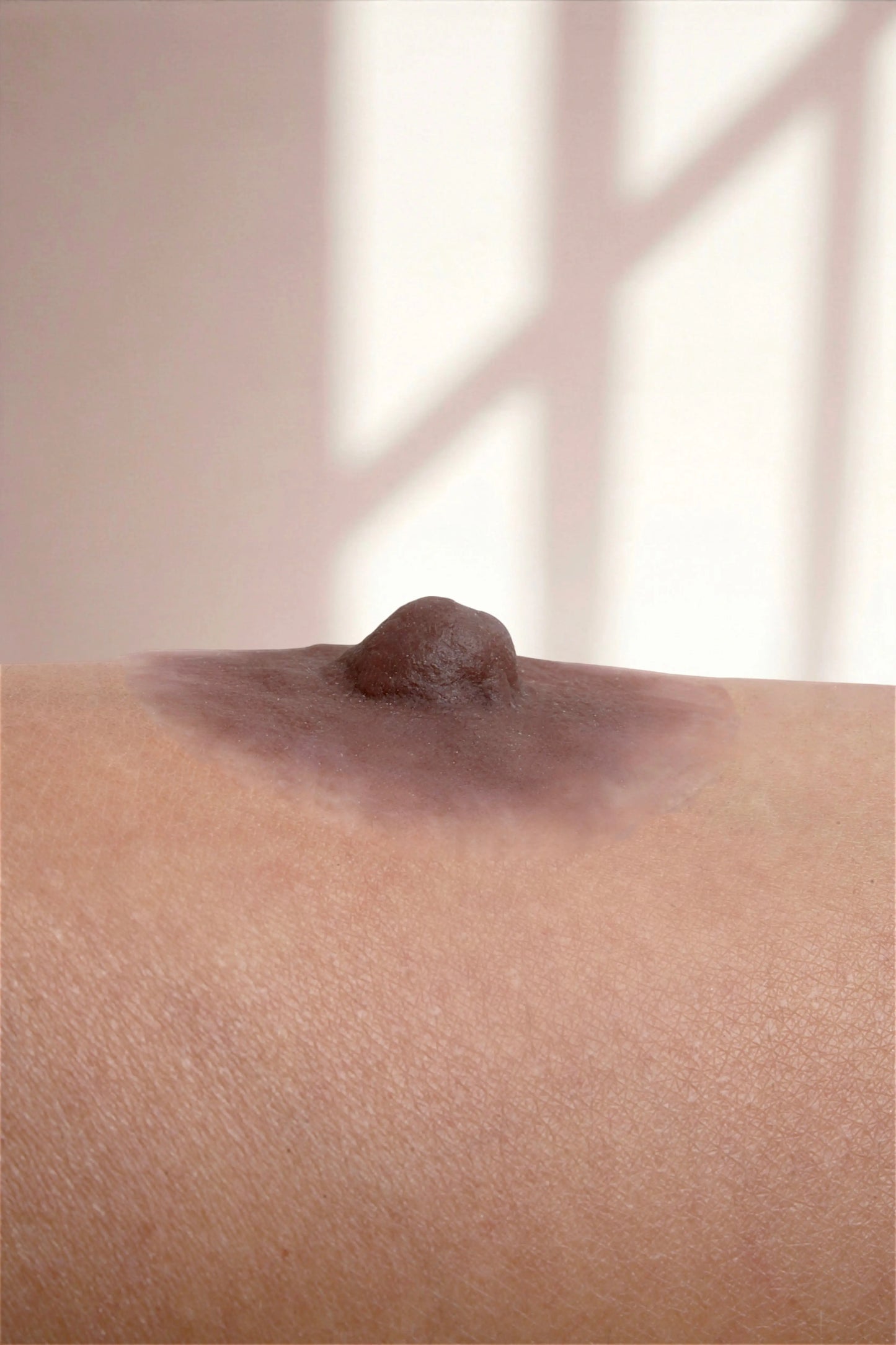 Silikon Meme Ucu -Diana Doğal Stil - Maun - LAST TOUCH NIPPLES