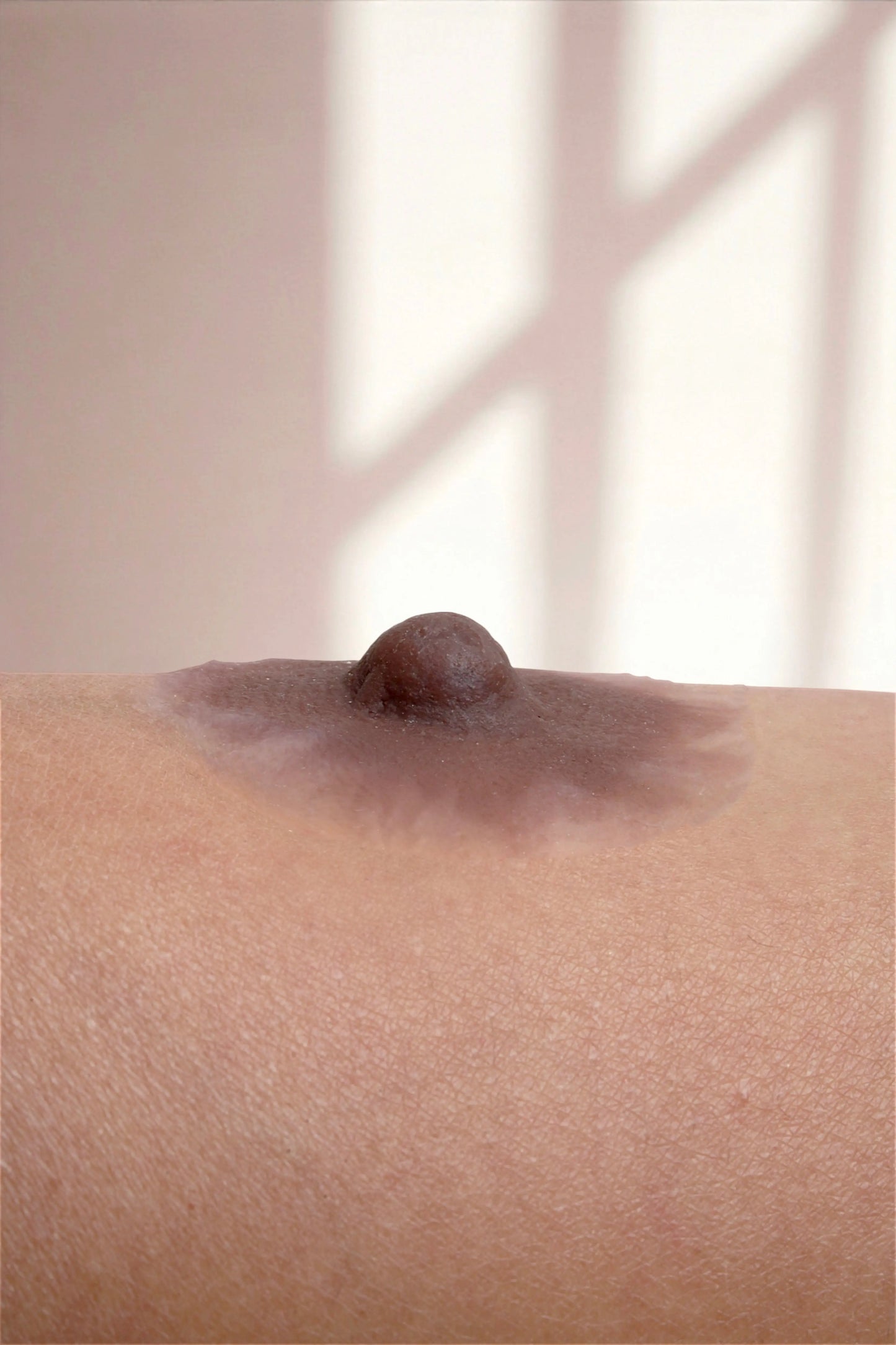 Silikon Meme Ucu -Hera Mütevazi Stil - Maun - LAST TOUCH NIPPLES
