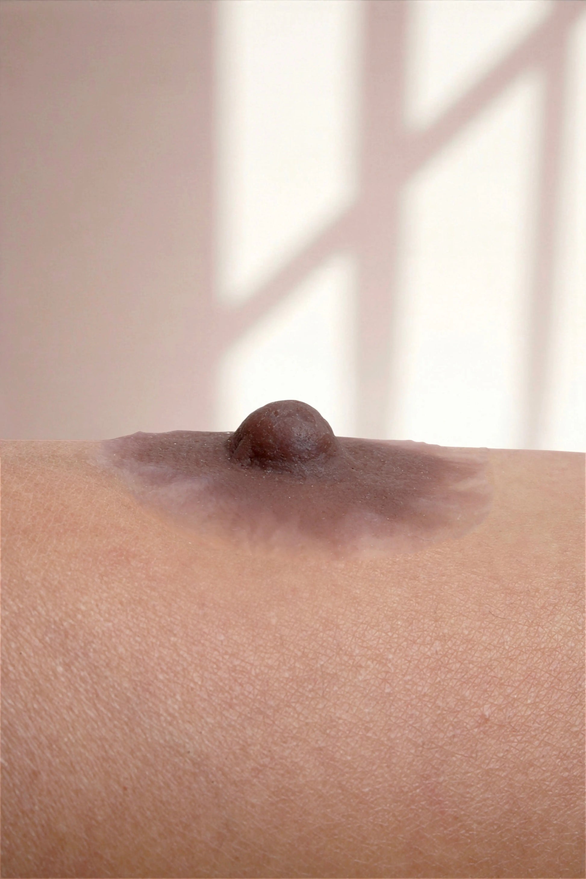 Silikon Meme Ucu -Hera Mütevazi Stil - Maun - LAST TOUCH NIPPLES