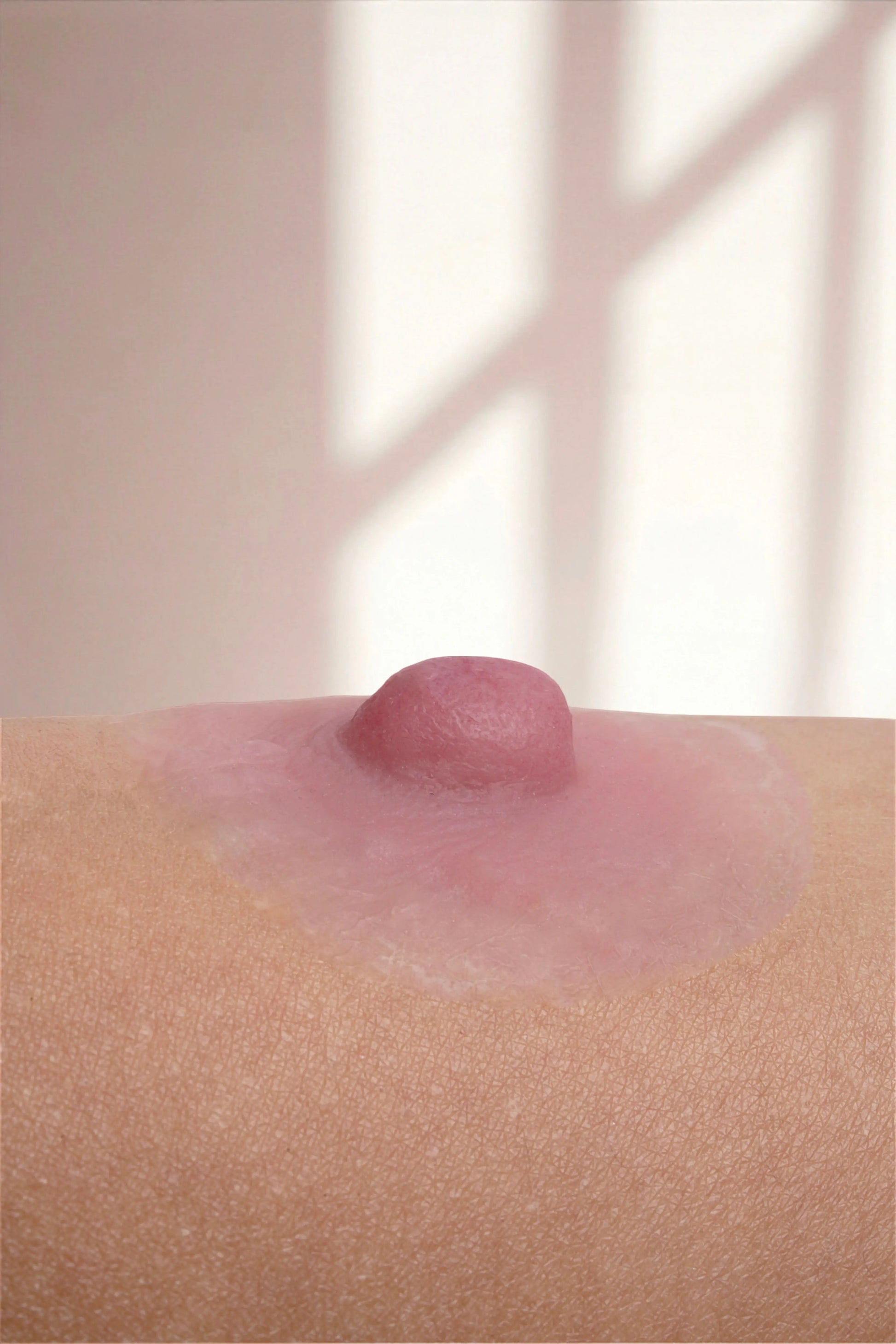Silikon Meme Ucu -Diana Doğal Stil - Pembe - LAST TOUCH NIPPLES