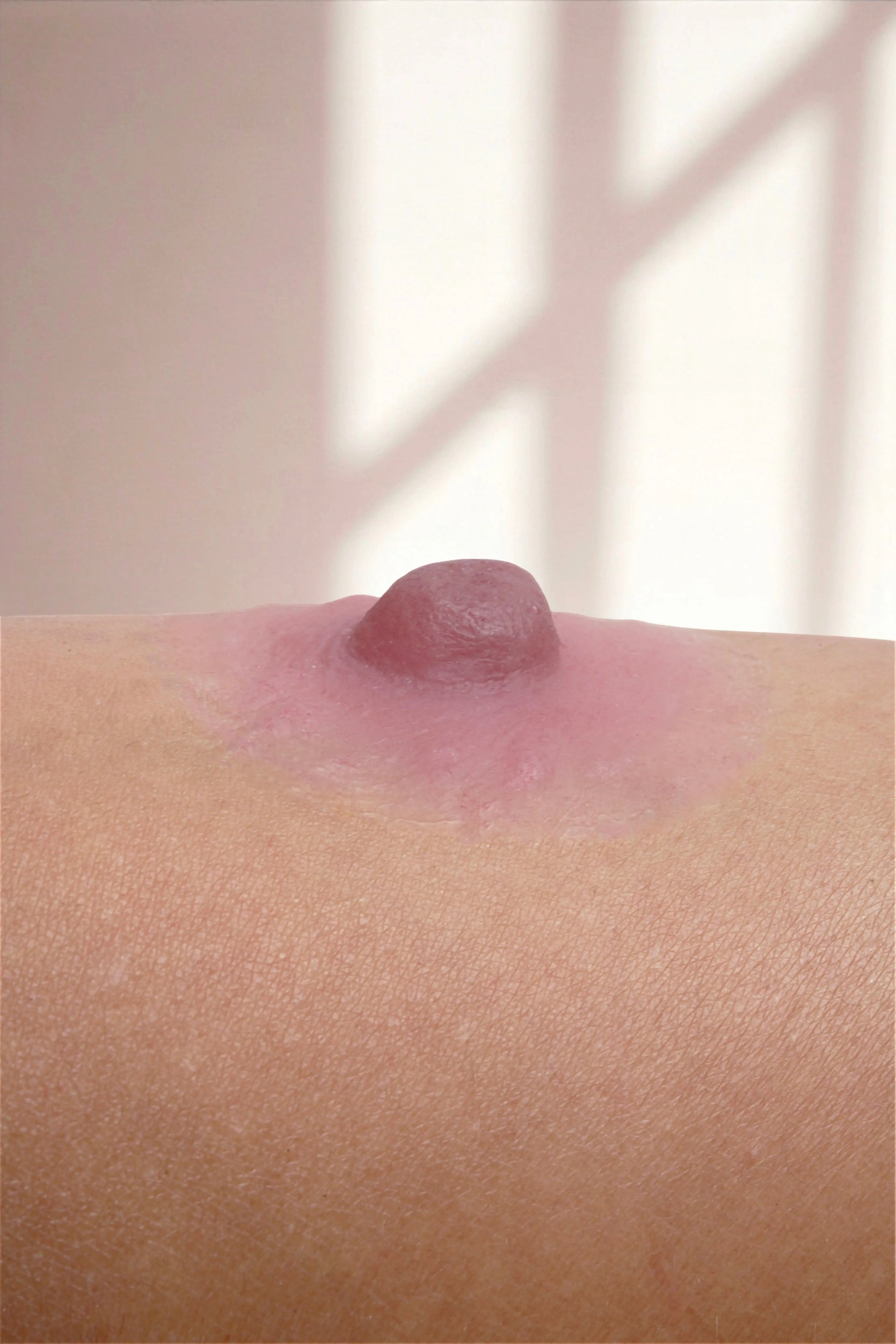 Silikon Meme Ucu -Diana Doğal Stil - Mercan - LAST TOUCH NIPPLES