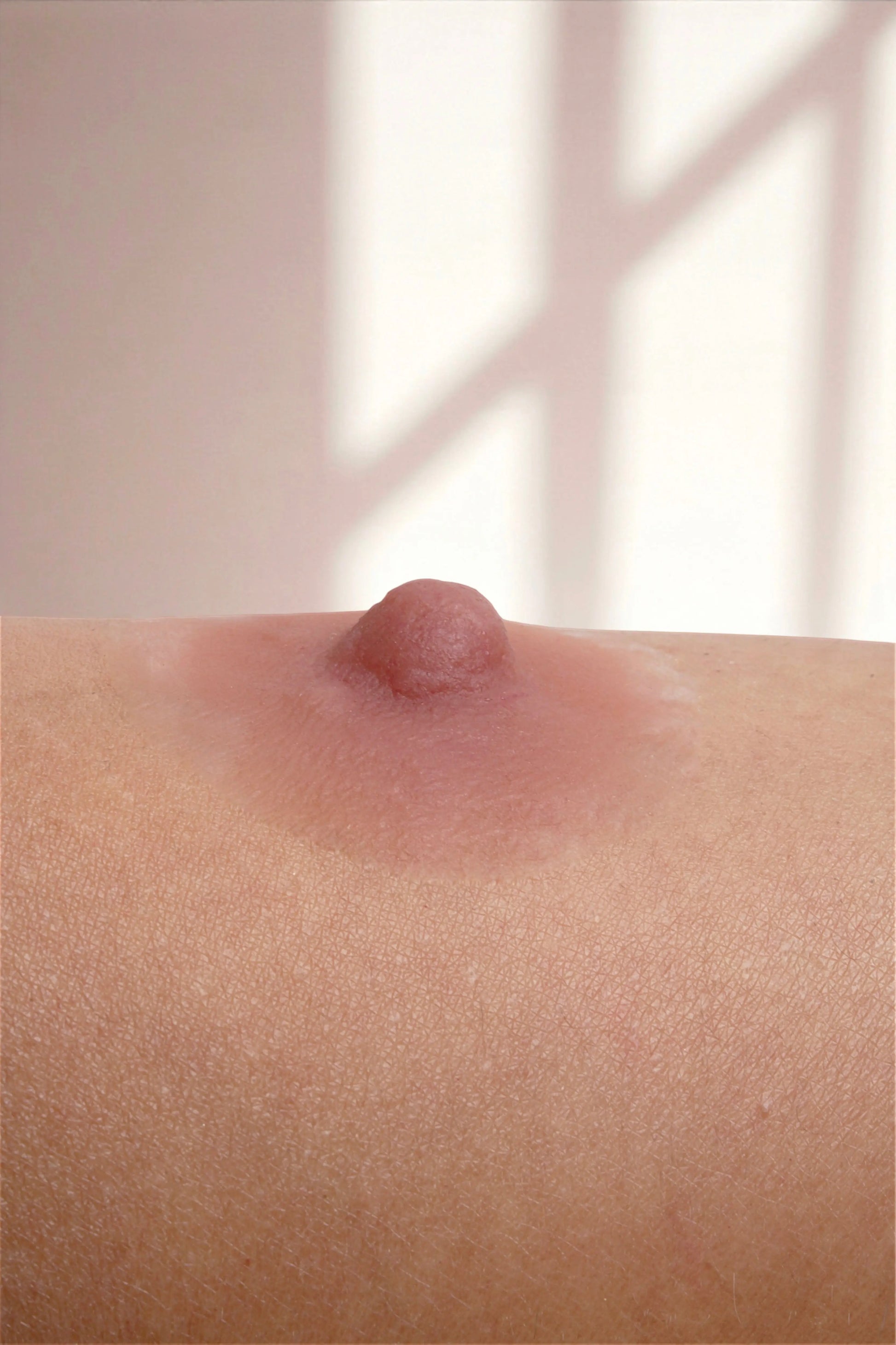 Silikon Meme Ucu -Hera Mütevazi Stil - Tarçın - LAST TOUCH NIPPLES